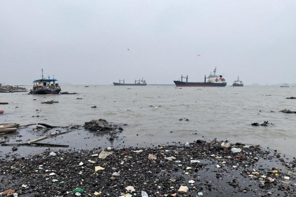 Atlantique : la qualité de l’eau inquiète sur plusieurs sites