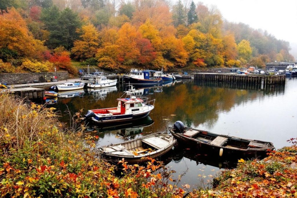 En automne, ce port de Normandie paraît désert – une vraie erreur de saison