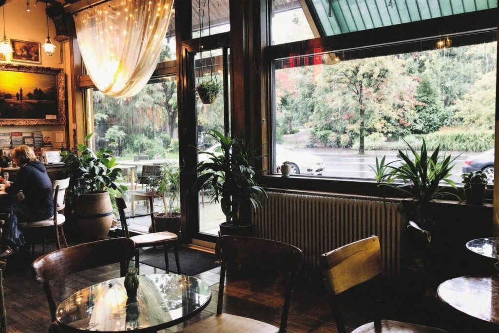 Intérieur de café avec plantes et grande fenêtre sur la nature