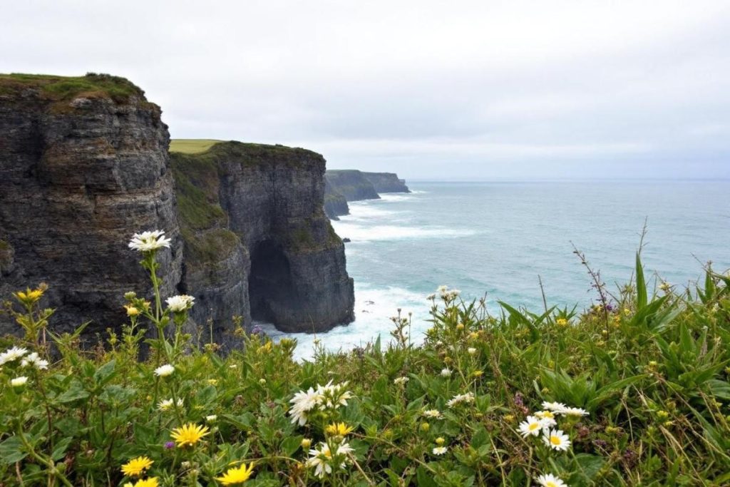Ils l’appellent la petite Irlande : ce coin sauvage de Bretagne à 1h de Brest va vous couper le souffle