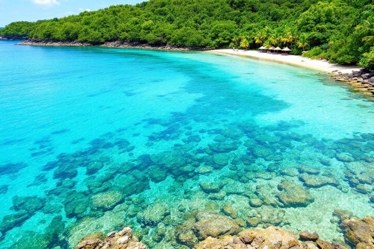 Snorkeling en République dominicaine : les meilleurs spots pour explorer les fonds marins