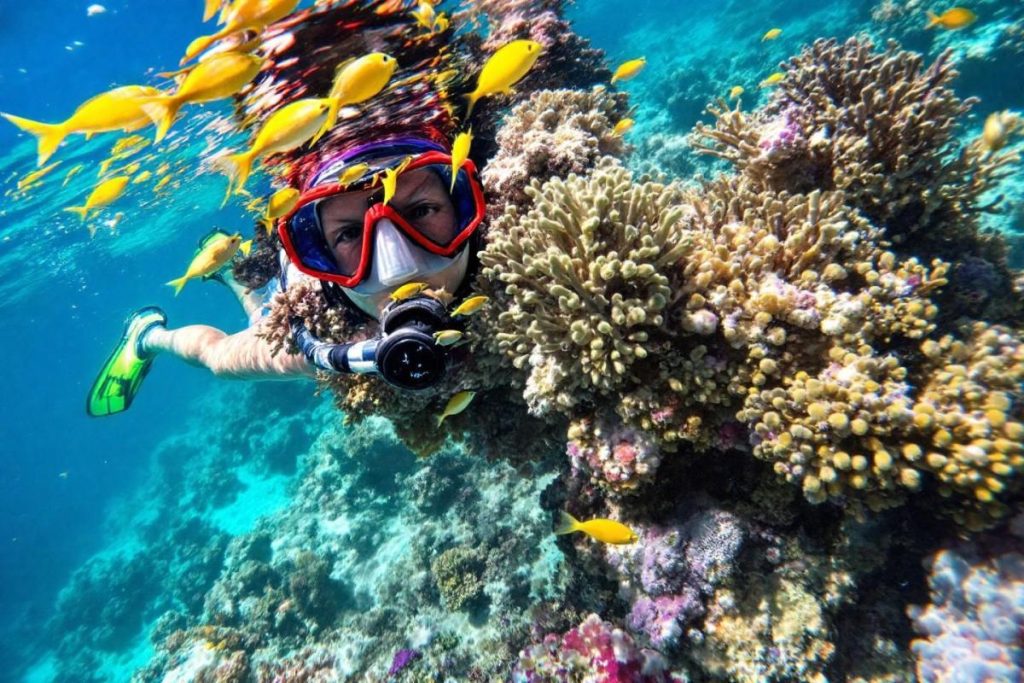 Snorkeling en République dominicaine : les meilleurs spots pour explorer les fonds marins