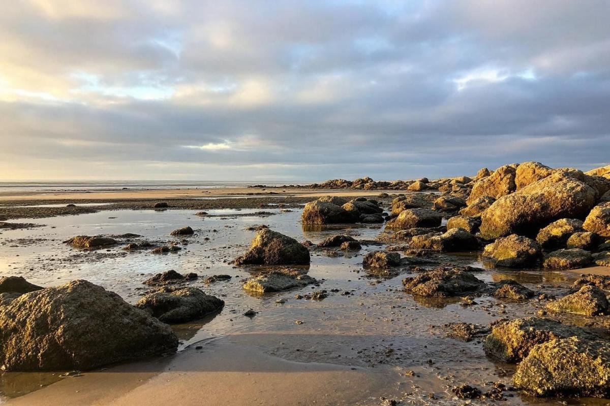 Oubliez le Mont-Saint-Michel : ce site naturel normand, plus paisible, fascine tout autant