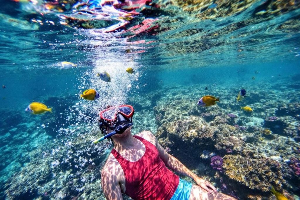 Snorkeling à Petite Terre : guide complet pour explorer la réserve naturelle de Guadeloupe