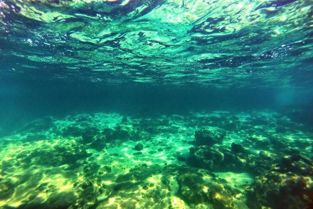 Snorkeling Sainte-Maxime : guide complet des meilleurs spots de plongée avec masque et tuba