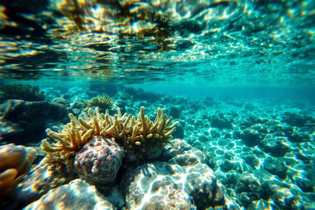 Snorkeling Cyclades : les meilleurs spots de plongée avec masque et tuba en Grèce