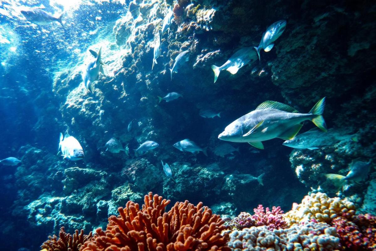 Snorkeling calanques : guide complet des meilleurs spots de Marseille à Cassis