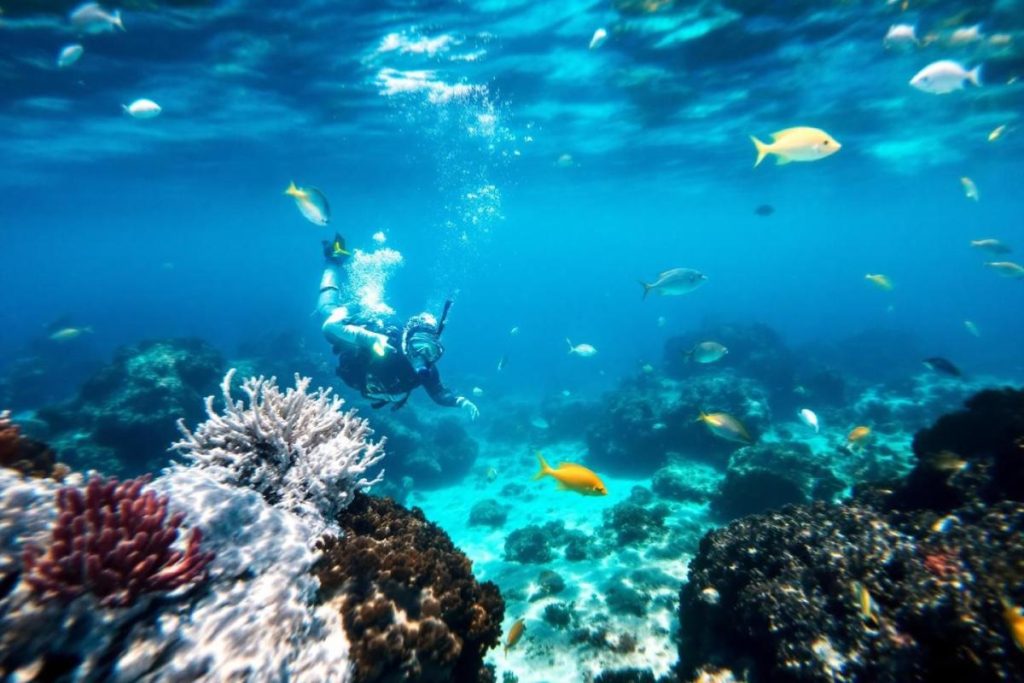 Snorkeling en Méditerranée : guide complet des plus beaux spots et conseils pratiques