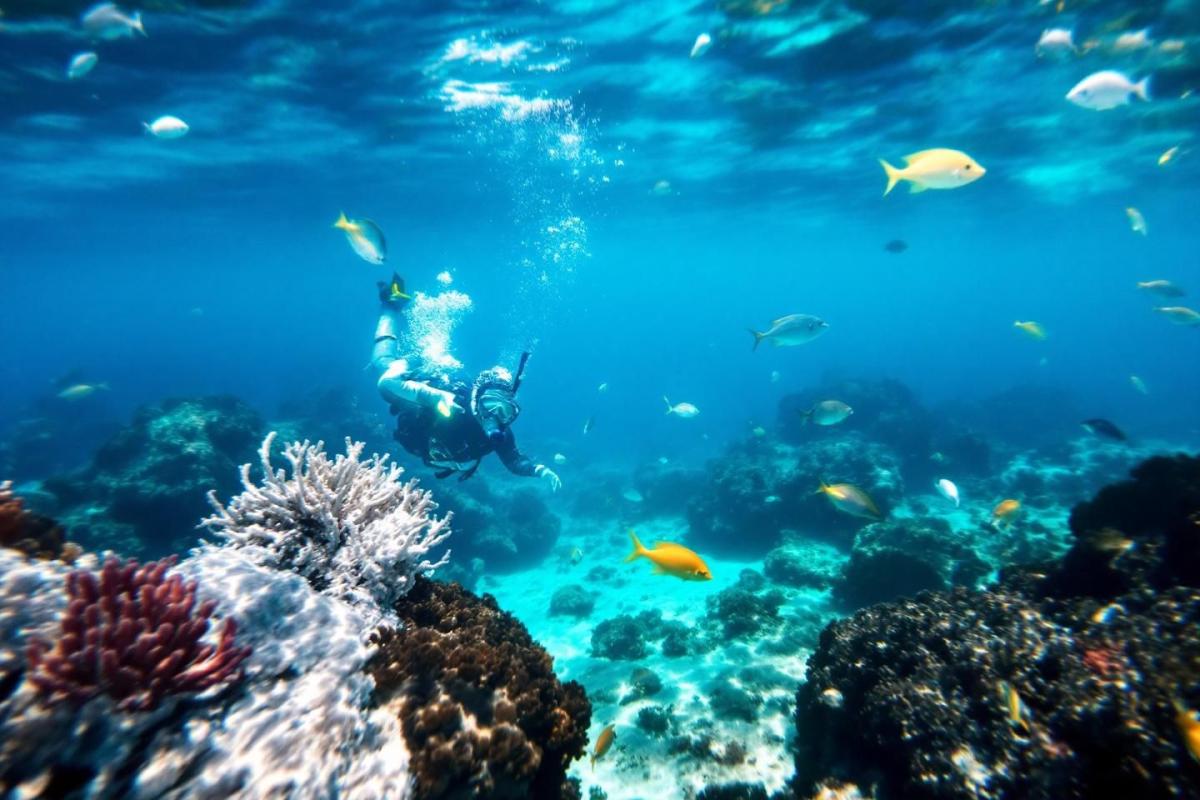 Snorkeling en Méditerranée : guide complet des plus beaux spots et conseils pratiques