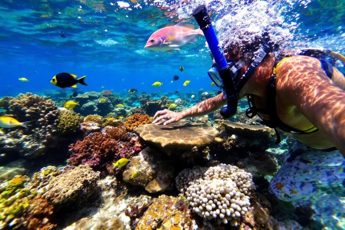 Snorkelling à Menjangan : guide complet pour explorer les fonds marins de Bali