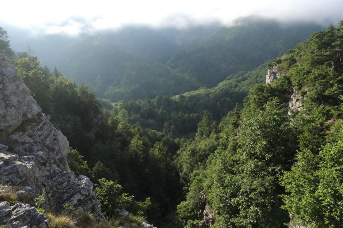 Oubliez le parc national des Cévennes : ce territoire voisin plus discret séduit les amoureux de nature brute