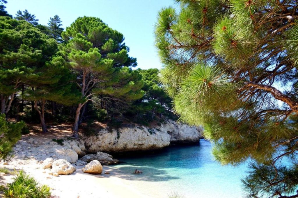 Cette plage corse aux allures de Caraïbes pourrait bien être la grande tendance voyage de 2026
