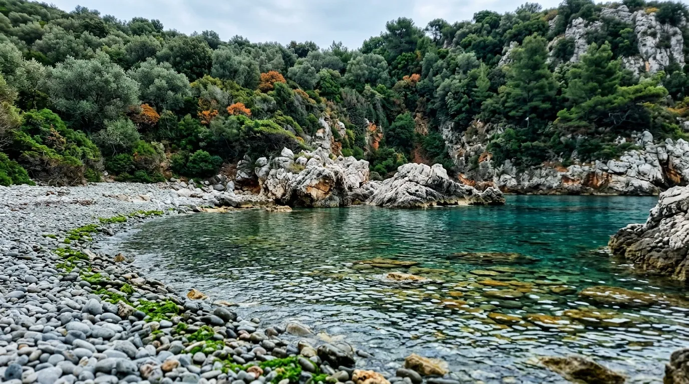 Plage de galets avec eau turquoise, falaises rocheuses et végétation dense