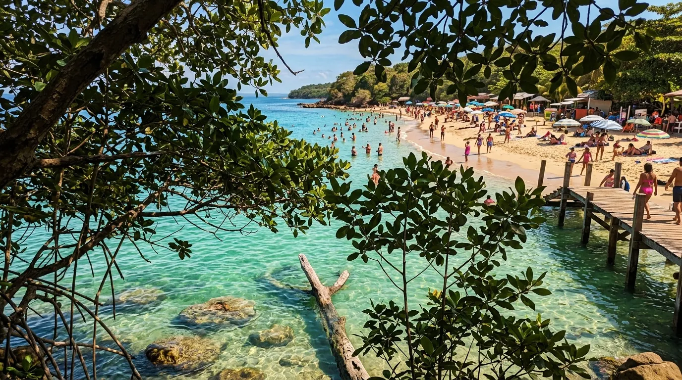 Plage turquoise bordée de mangroves et visiteurs baignant