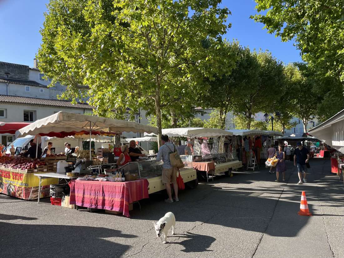 Le marché du vendredi à Dieulefit, animé sous les platanes